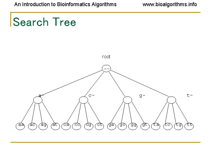 An Introduction to Bioinformatics Algorithms www. bioalgorithms. info Search Tree root -- a- aa