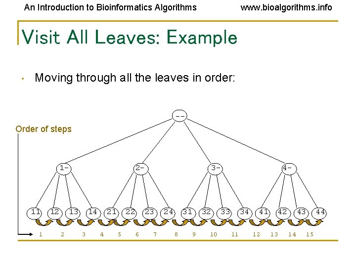 An Introduction to Bioinformatics Algorithms www. bioalgorithms. info Visit All Leaves: Example • Moving