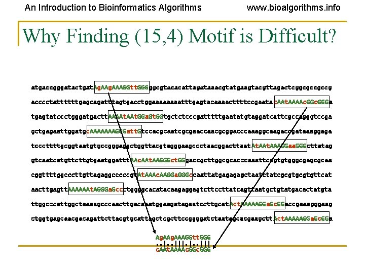 An Introduction to Bioinformatics Algorithms www. bioalgorithms. info Why Finding (15, 4) Motif is