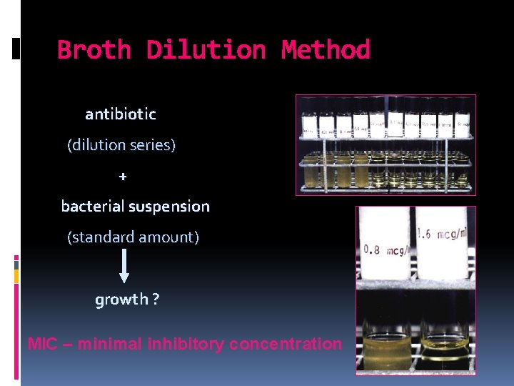 Broth Dilution Method antibiotic (dilution series) + bacterial suspension (standard amount) growth ? MIC