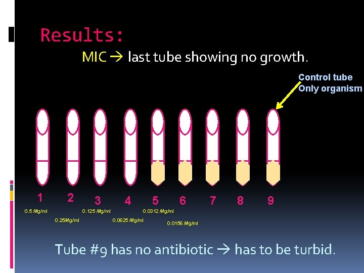 Results: MIC last tube showing no growth. Control tube Only organism 1 2 0.