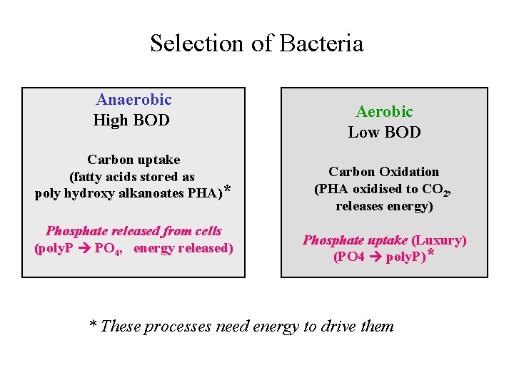Selection of Bacteria Anaerobic High BOD Carbon uptake (fatty acids stored as poly hydroxy