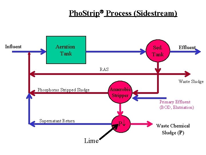Pho. Strip Process (Sidestream) Influent Aeration Tank Sed. Tank Effluent RAS Waste Sludge Phosphorus