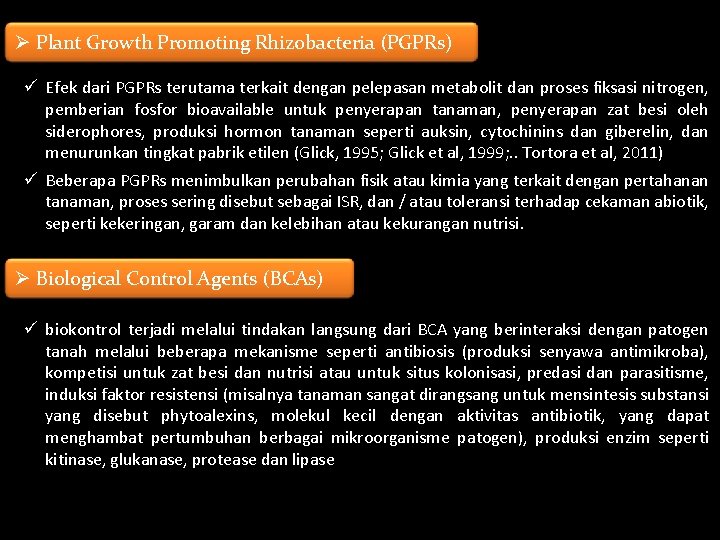 Ø Plant Growth Promoting Rhizobacteria (PGPRs) ü Efek dari PGPRs terutama terkait dengan pelepasan