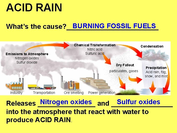 ACID RAIN BURNING FOSSIL FUELS What’s the cause? ____________ Emissions to Atmosphere Nitrogen oxides