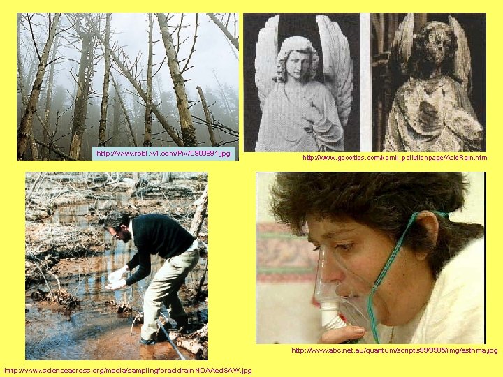 http: //www. robl. w 1. com/Pix/C 900991. jpg http: //www. geocities. com/kamil_pollutionpage/Acid. Rain. htm