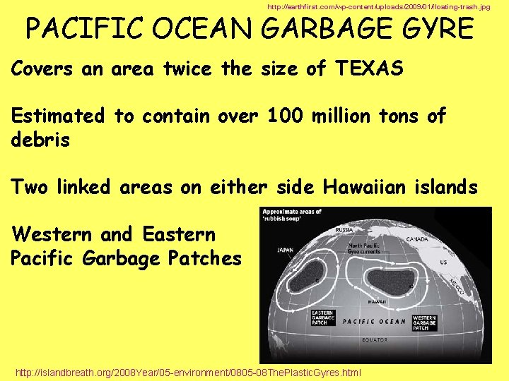 http: //earthfirst. com/wp-content/uploads/2009/01/floating-trash. jpg PACIFIC OCEAN GARBAGE GYRE Covers an area twice the size