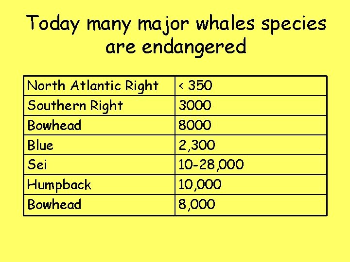 Today many major whales species are endangered North Atlantic Right Southern Right Bowhead Blue