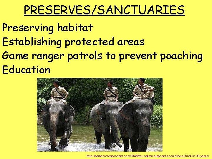 PRESERVES/SANCTUARIES Preserving habitat Establishing protected areas Game ranger patrols to prevent poaching Education http: