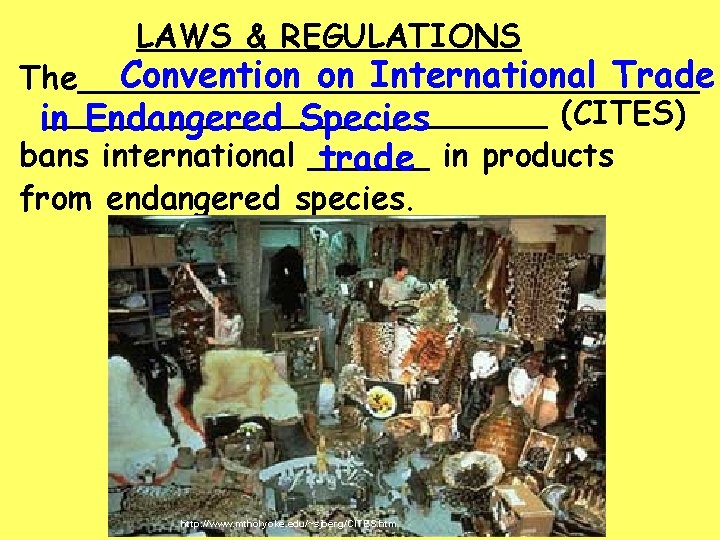  LAWS & REGULATIONS Convention on International Trade The________________ (CITES) in Endangered Species bans