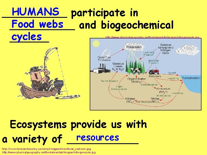 HUMANS participate in _____ Food webs _____ and biogeochemical cycles ______ http: //www. physicalgeography.