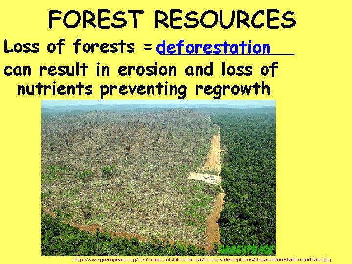  FOREST RESOURCES Loss of forests = deforestation ______ can result in erosion and