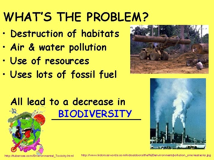 WHAT’S THE PROBLEM? • • Destruction of habitats Air & water pollution Use of