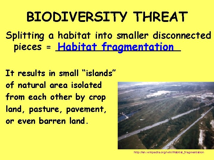 BIODIVERSITY THREAT Splitting a habitat into smaller disconnected pieces = ___________ Habitat fragmentation It