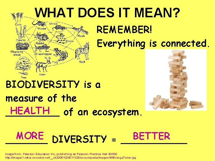 WHAT DOES IT MEAN? REMEMBER! Everything is connected. BIODIVERSITY is a measure of the