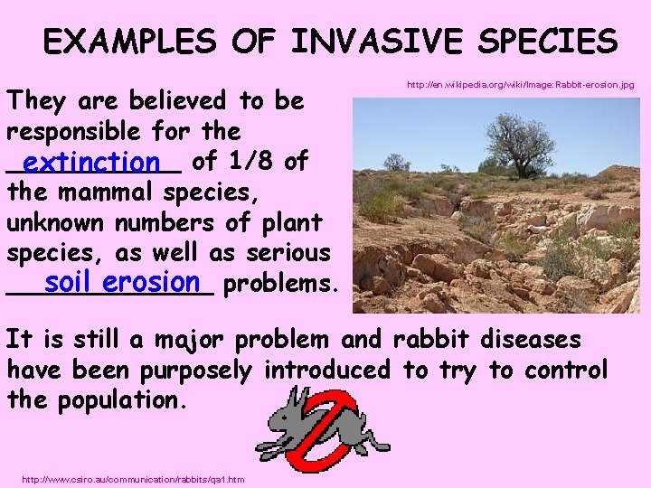 EXAMPLES OF INVASIVE SPECIES They are believed to be responsible for the ______ extinction