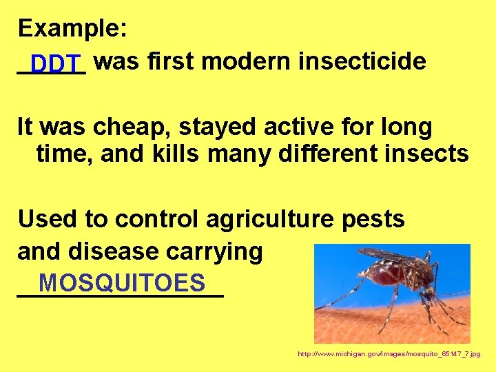 Example: _____ was first modern insecticide DDT It was cheap, stayed active for long