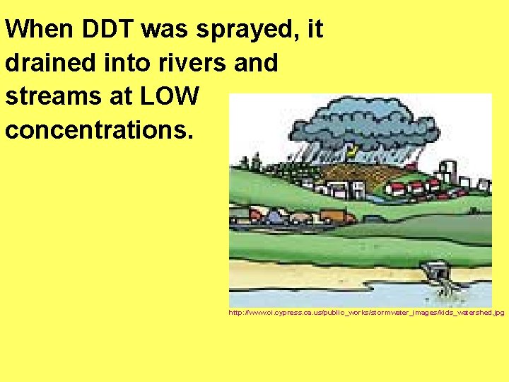 When DDT was sprayed, it drained into rivers and streams at LOW concentrations. http: