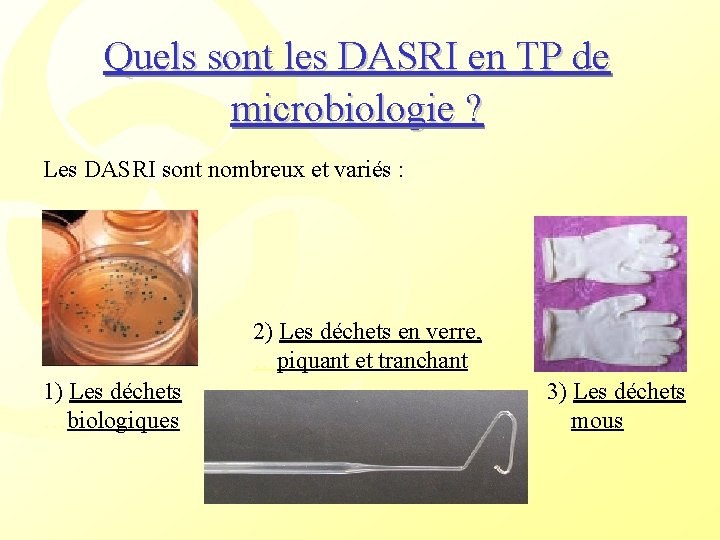Quels sont les DASRI en TP de microbiologie ? Les DASRI sont nombreux et