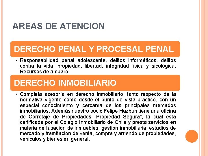AREAS DE ATENCION DERECHO PENAL Y PROCESAL PENAL • Responsabilidad penal adolescente, delitos informáticos,
