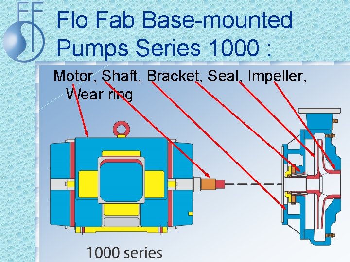 Flo Fab Base-mounted Pumps Series 1000 : Motor, Shaft, Bracket, Seal, Impeller, Wear ring