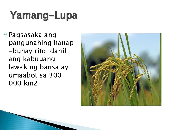 Yamang-Lupa Pagsasaka ang pangunahing hanap -buhay rito, dahil ang kabuuang lawak ng bansa ay