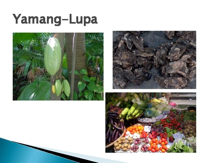 Yamang-Lupa Yamang-Lupa