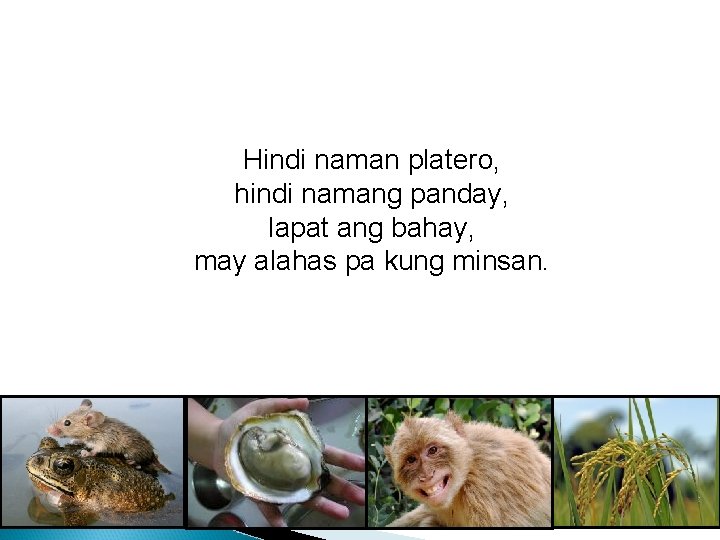 Hindi naman platero, hindi namang panday, lapat ang bahay, may alahas pa kung minsan. Hindi naman platero, hindi namang panday, lapat ang bahay, may alahas pa kung minsan.