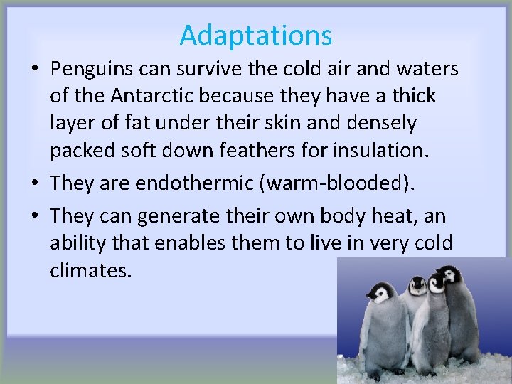 Adaptations • Penguins can survive the cold air and waters of the Antarctic because