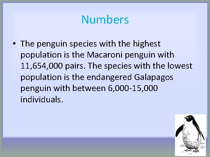 Numbers • The penguin species with the highest population is the Macaroni penguin with