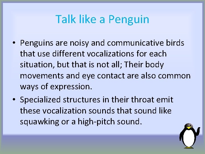 Talk like a Penguin • Penguins are noisy and communicative birds that use different