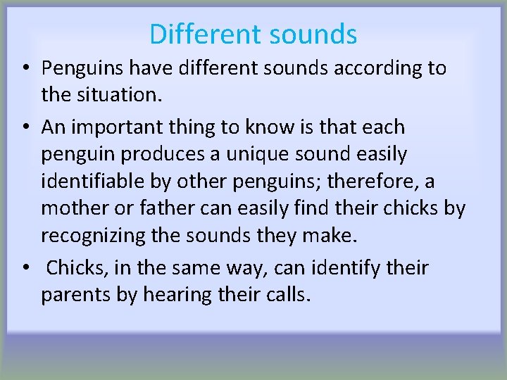 Different sounds • Penguins have different sounds according to the situation. • An important