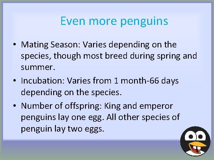 Even more penguins • Mating Season: Varies depending on the species, though most breed