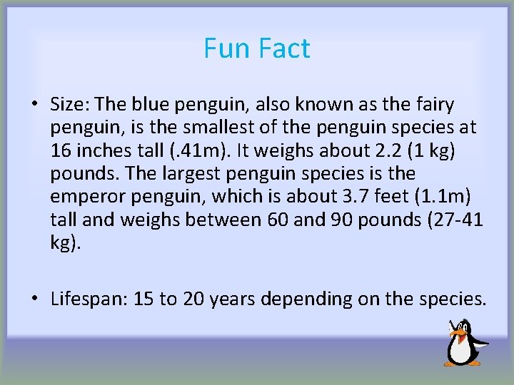 Fun Fact • Size: The blue penguin, also known as the fairy penguin, is