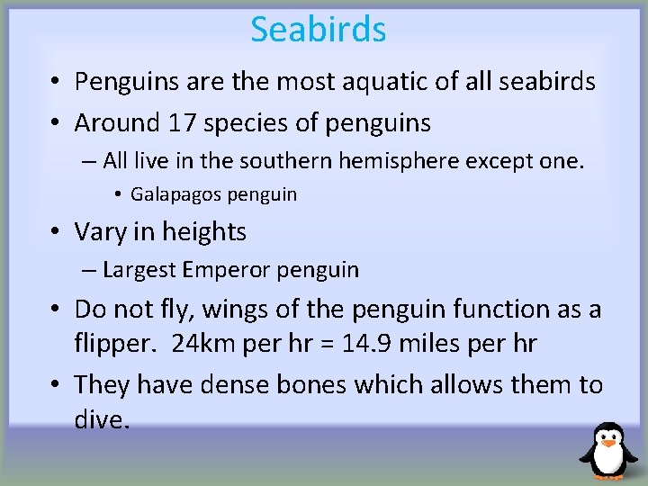 Seabirds • Penguins are the most aquatic of all seabirds • Around 17 species