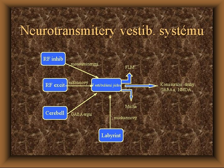 Neurotransmitery vestib. systému RF inhib RF excit monoaminergní nikotinový FLM Komisurální dráhy GABAa, NMDA