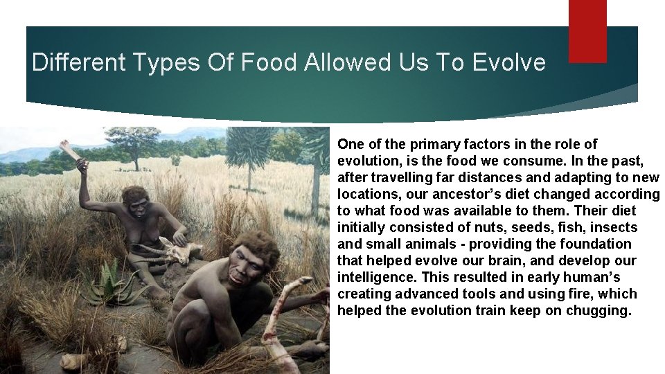 Different Types Of Food Allowed Us To Evolve One of the primary factors in