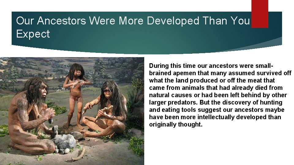 Our Ancestors Were More Developed Than You Expect During this time our ancestors were