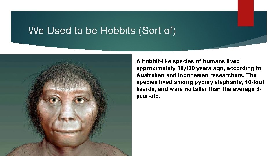 We Used to be Hobbits (Sort of) A hobbit-like species of humans lived approximately