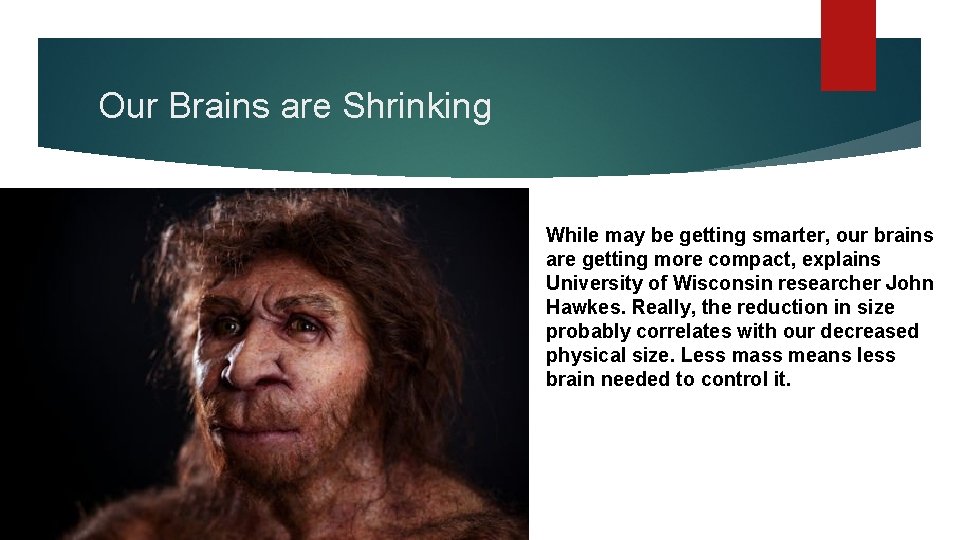 Our Brains are Shrinking While may be getting smarter, our brains are getting more