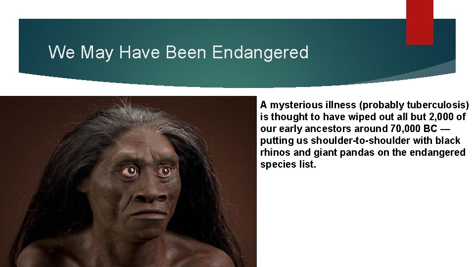 We May Have Been Endangered A mysterious illness (probably tuberculosis) is thought to have