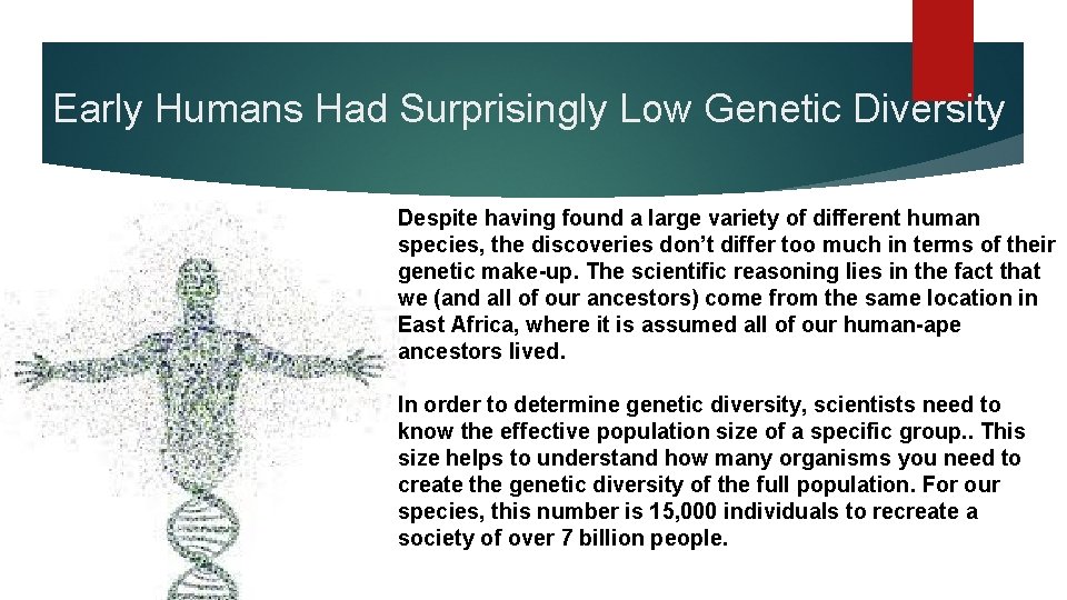 Early Humans Had Surprisingly Low Genetic Diversity Despite having found a large variety of