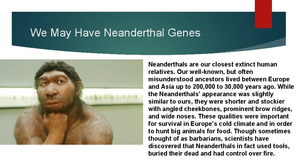 We May Have Neanderthal Genes Neanderthals are our closest extinct human relatives. Our well-known,