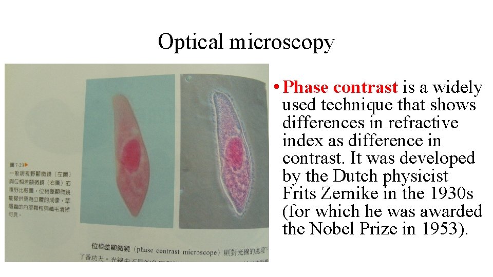 Optical microscopy • Phase contrast is a widely used technique that shows differences in