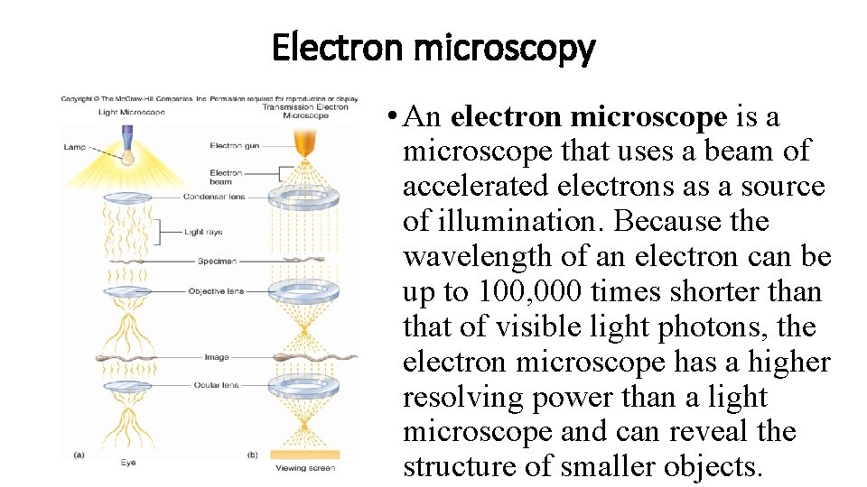 Electron microscopy • An electron microscope is a microscope that uses a beam of