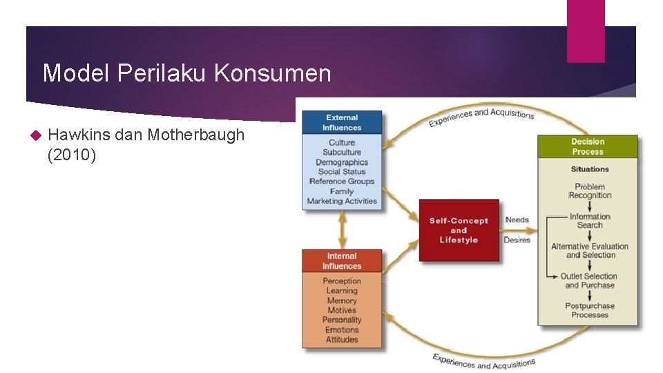 Model Perilaku Konsumen Hawkins dan Motherbaugh (2010) 