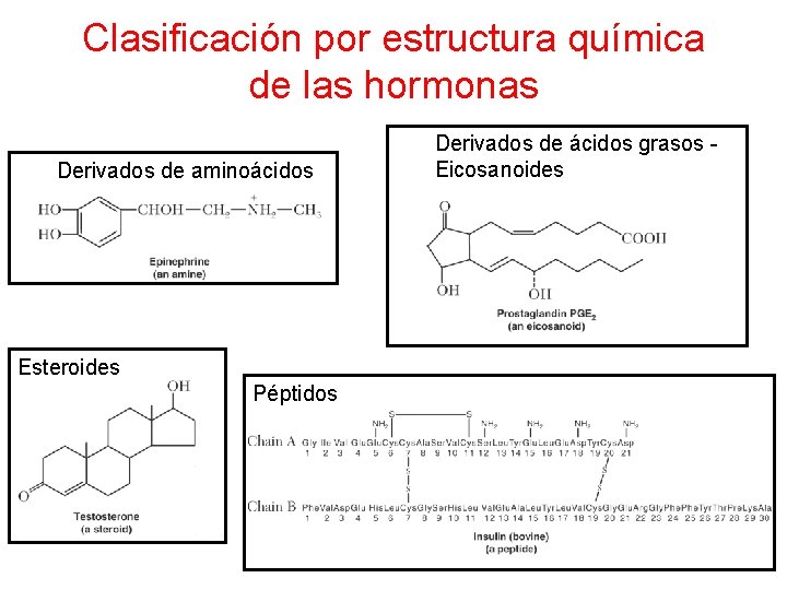 Clasificación por estructura química de las hormonas Derivados de aminoácidos Esteroides Péptidos Derivados de