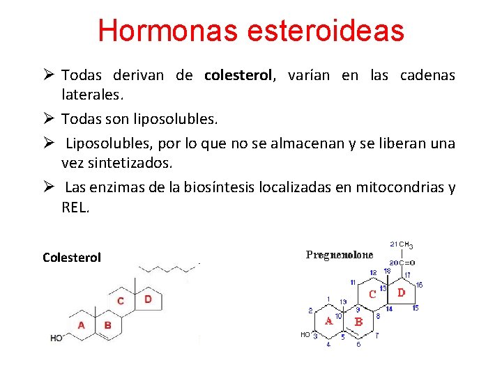 Hormonas esteroideas Ø Todas derivan de colesterol, varían en las cadenas laterales. Ø Todas