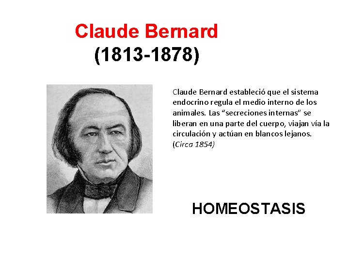 Claude Bernard (1813 -1878) Claude Bernard estableció que el sistema endocrino regula el medio