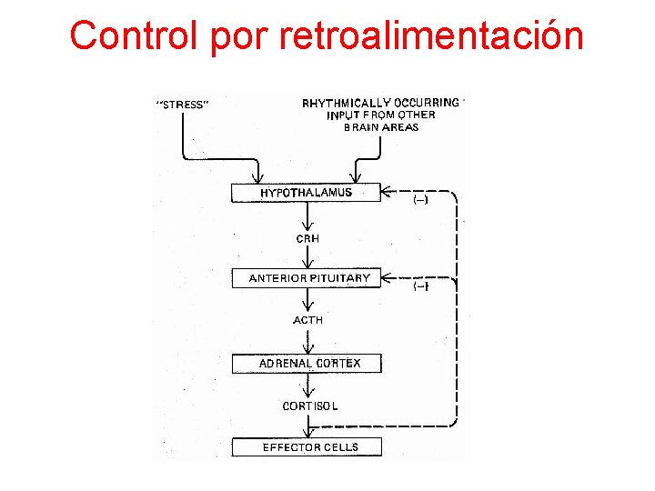 Control por retroalimentación 